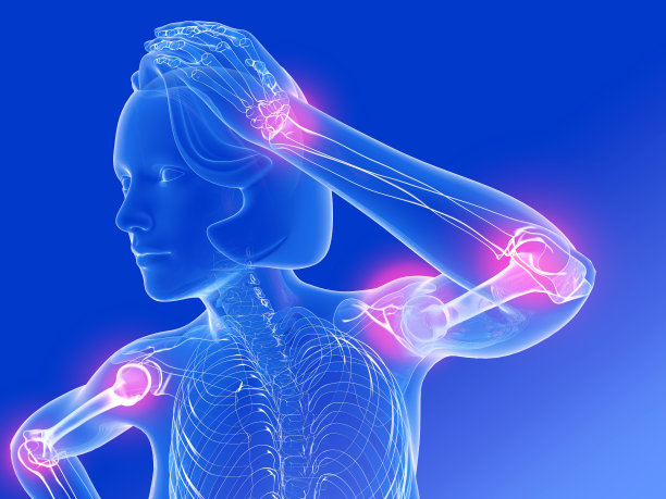 解剖三维插图的女人的数字图形显示疼痛的关节的手臂和手。图片下载