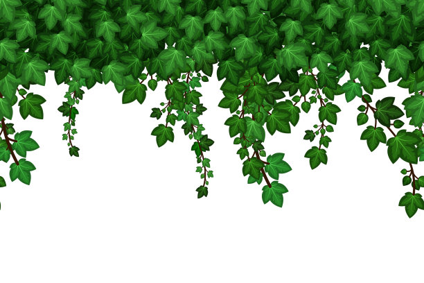 绿色ivyfoliage花环。挂常春藤叶，夏日天然植物墙背景。无缝模式。矢量图图片下载