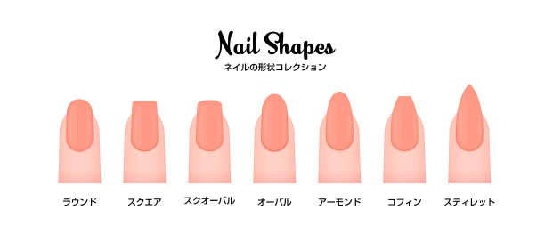 各种各样的指甲形状矢量插图集图片下载