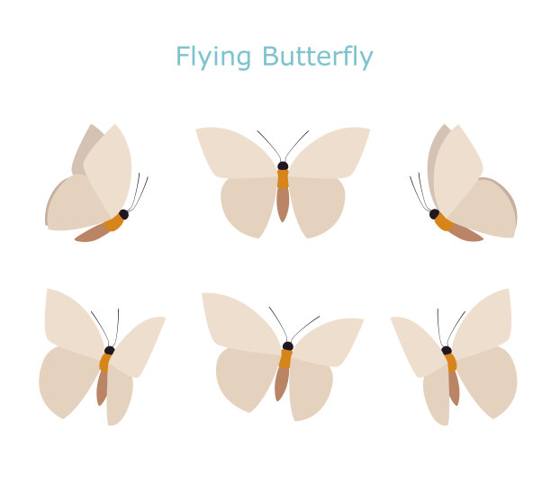 拍打着翅膀的白蝴蝶。图片下载