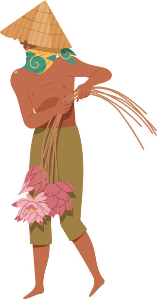 亚洲农民戴着草帽摘莲花图片下载