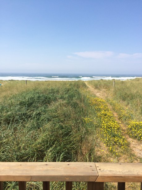 从甲板上看大海图片下载