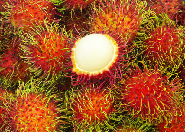 红毛丹水果特写图片下载