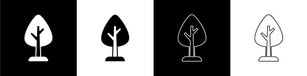 设置树图标隔离在黑色和白色图片下载