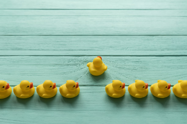 一队黄色小鸭有秩序地前进，一只小鸭脱离队伍，在绿松石色木纹背景上追寻自己的方向图片下载