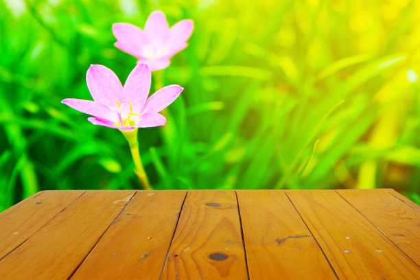 棕色的木地板，粉红色的花朵和绿色的树叶图片下载