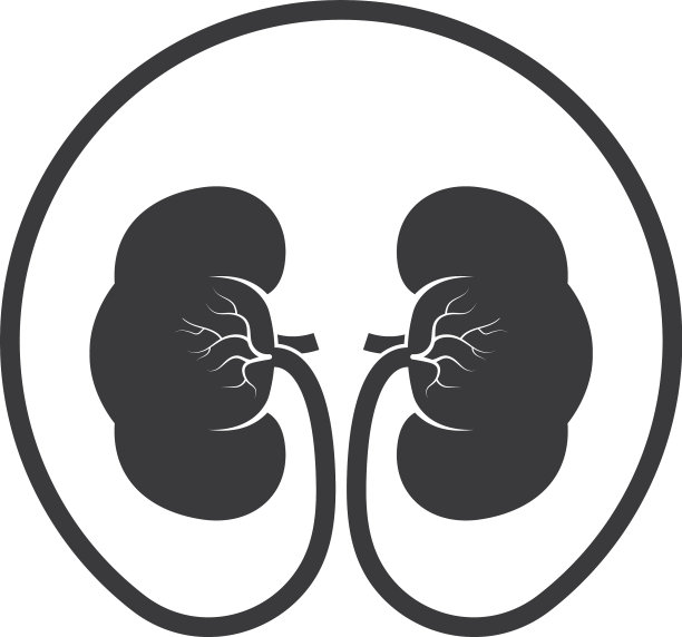 肾脏图标设计图片下载