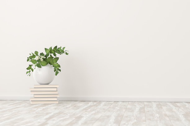 在硬木地板上一堆书上的瓷花瓶里有一株植物。本空间图片下载