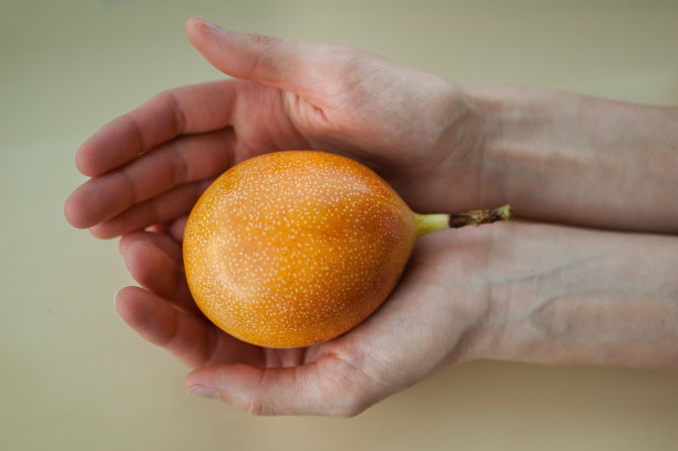 新鲜的有机成熟格拉纳迪拉或黄色百香果在女性手中。异域水果，健康饮食理念图片下载