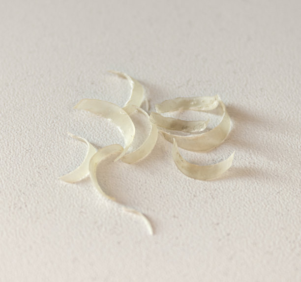 一堆剪下来的钉子。被咬过的脏指甲放在桌子上。图片下载