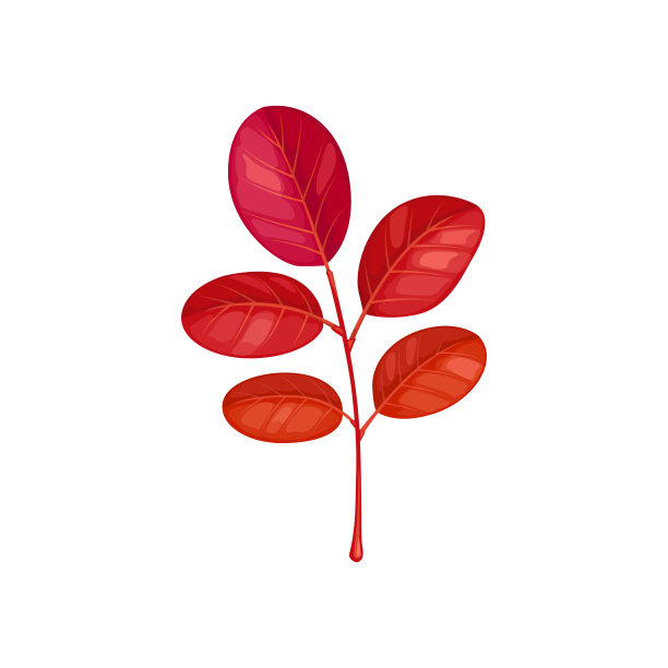 倒下的金合欢树叶棕色的颜色矢量图标图片下载