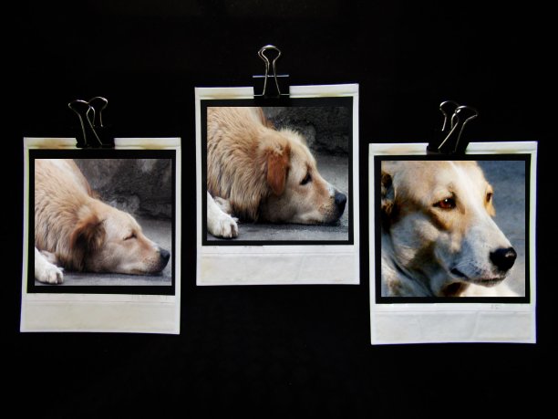 带着爱的问候图片下载