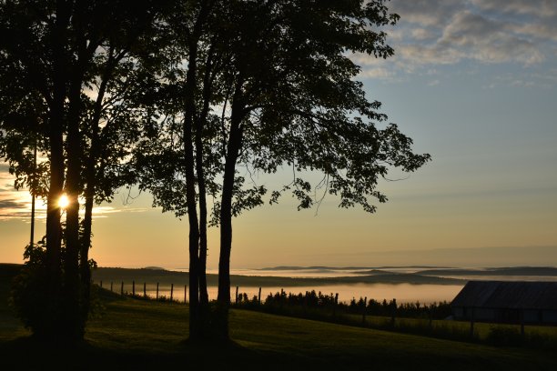七月的一个早晨图片下载