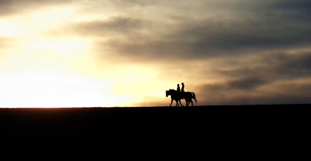 晚上骑马出去图片下载