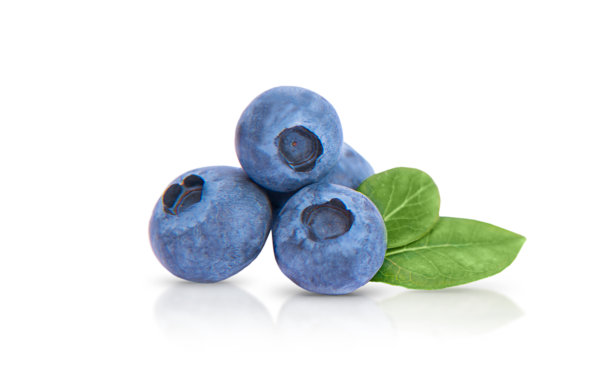 新鲜绿叶的蓝莓孤立在白色背景上图片下载