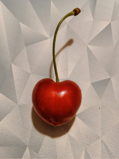 流行艺术红樱桃水果图片下载