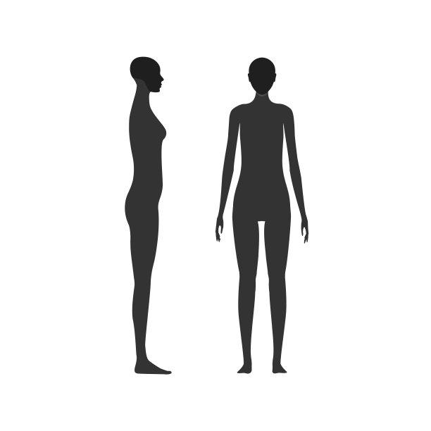 侧面和正面的女性剪影与突出的头骨和下巴区域。图片下载