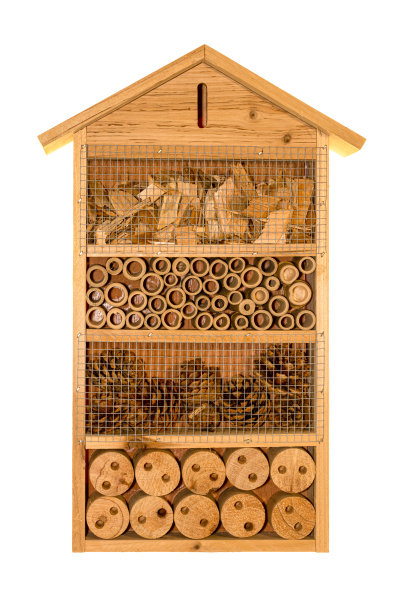 昆虫的旅馆或庇护所。图片下载