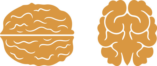 胡桃木图片下载