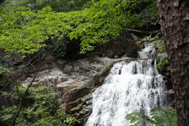 瀑布景观图片下载