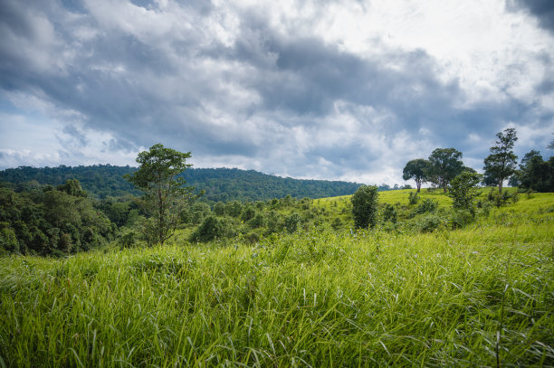在考耶艾国家公园的绿色草地和热带森林山脉。联合国教科文组织世界遗产名录，泰国。图片下载
