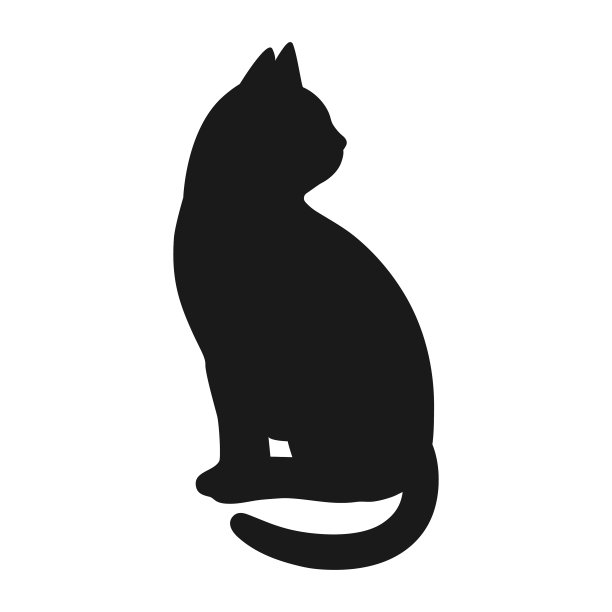 黑猫的剪影图片下载