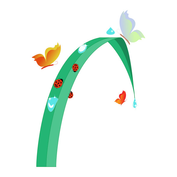 瓢虫和蝴蝶在叶子上的白色图片下载