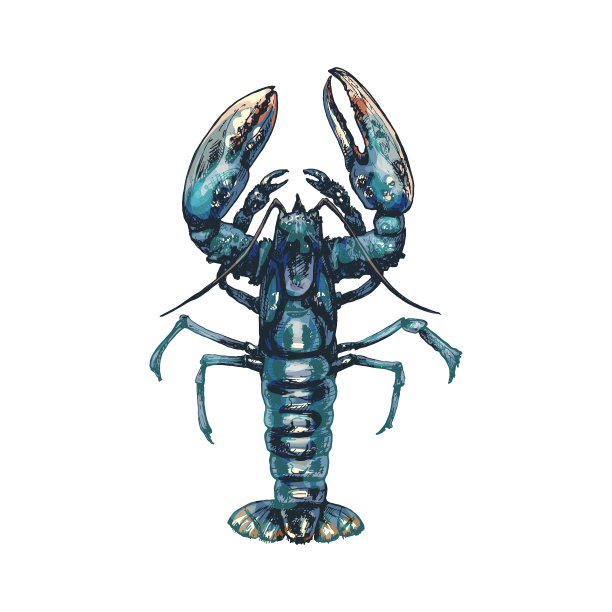 龙虾复古的孵化颜色图片下载