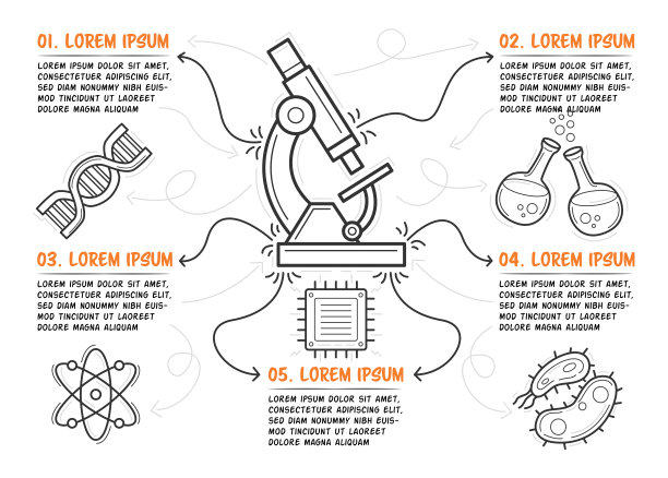 科学信息图模板。中央为手绘显微镜。有描述的五个步骤。矢量插图。图片下载
