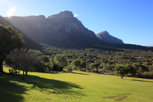 科斯滕博斯国家植物园，纽兰兹，开普敦，南非图片下载
