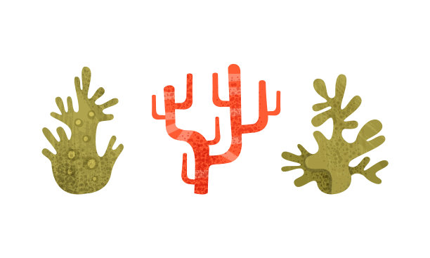 海藻在海底形成了海洋植物群图片下载