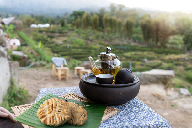 种植园中装有饼干的玻璃茶壶和中国茶杯中的茉莉花绿茶图片下载