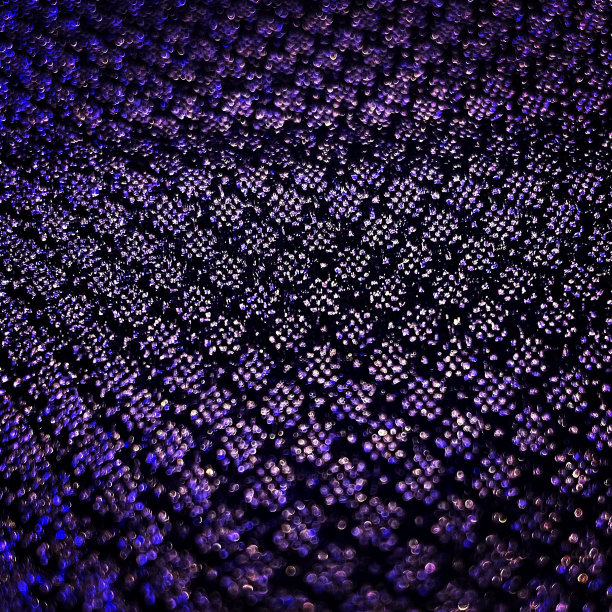 近距离的照片图片下载