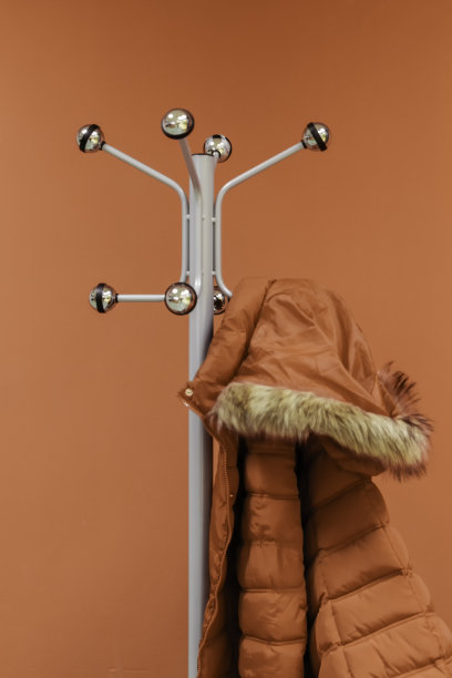 一件红色的冬季夹克挂在一个金属衣架上，背景朴素图片下载