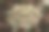 圣诞节销售字母字母在木制立方体与圣诞节装饰背景图片下载