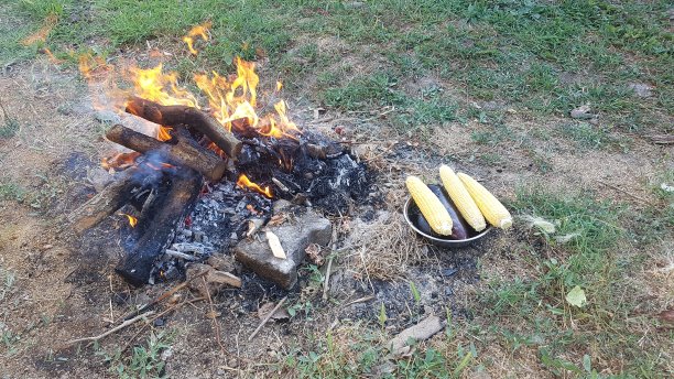 用木柴烧制木炭图片下载