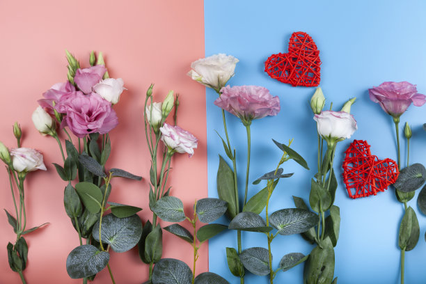 情人节卡片图片下载