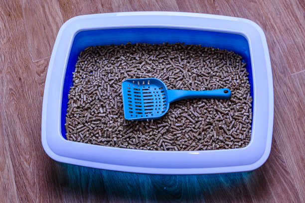 地板上有带填充物的宠物砂盒图片下载