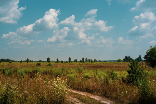 夏天的风景图片下载