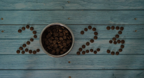 蓝色木桌和宠物碗里的食物而不是零。新年或圣诞节概念极简背景与数字2023从猫或狗粮。宠物店的创意广告。图片下载