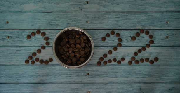 蓝色木桌和宠物碗里的食物而不是零。新年或圣诞节概念极简背景与数字2022猫或狗粮。宠物店的创意广告。图片下载