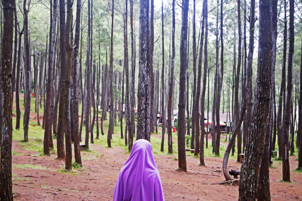 在一个阳光明媚、凉爽的早晨，一位戴着头巾的妇女正看着美丽的风景，那里有许多高耸的树木，非常凉爽和独特图片下载