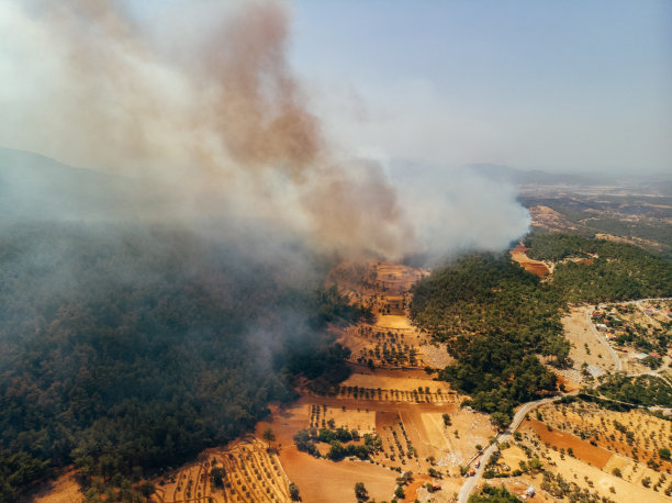 鸟瞰图土耳其博德鲁姆红松林火灾图片下载