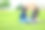 青春期前的女学生坐在校园草坪户外使用技术教育照片系列图片下载
