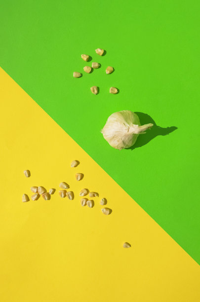 玉米种子和大蒜库存照片图片下载