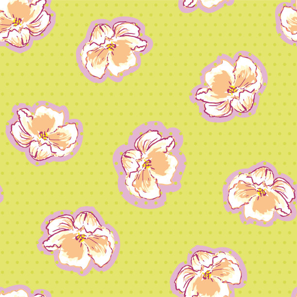 柔和的美丽夏日野玫瑰图片下载