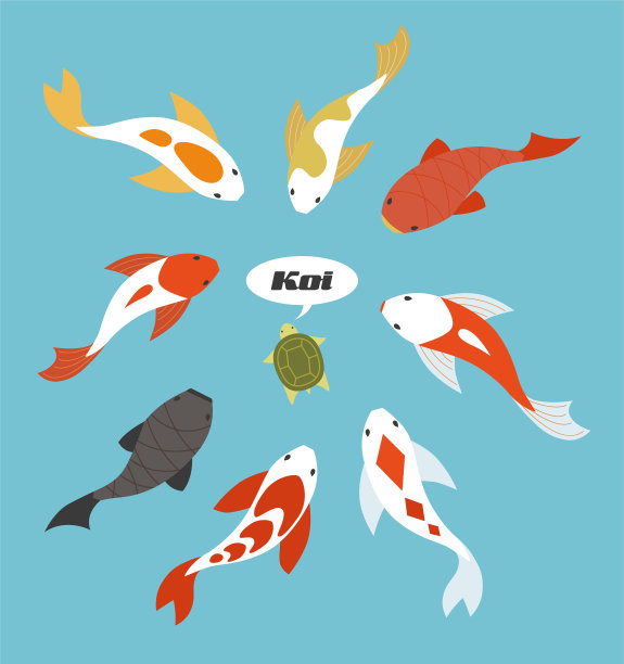 鲤鱼成群地向小乌龟游去。图片下载