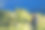 在合欢山徒步旅行的妇女图片下载
