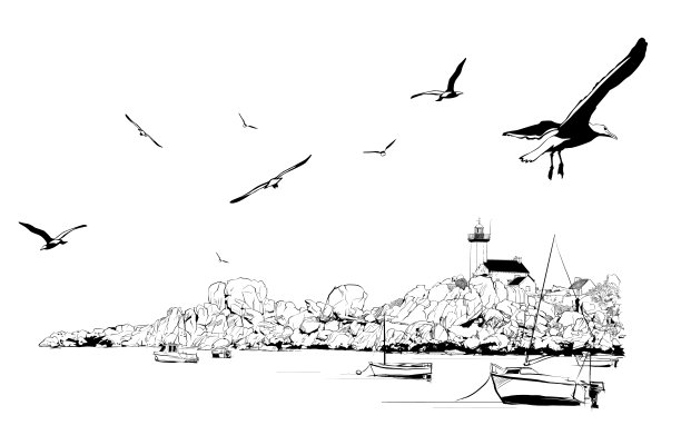 法国布列塔尼海岸的一个小港口图片下载