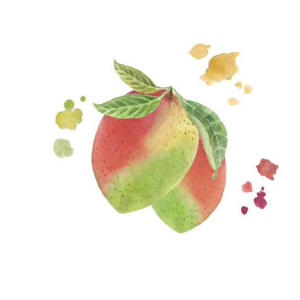 热带芒果水果整片，水果片，彩色飞溅，叶子。水彩插图。图片下载